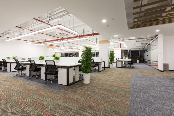 Bí quyết chọn thảm văn phòng theo phong thủy: Nền tảng vững chắc để Hút Tài Lộc