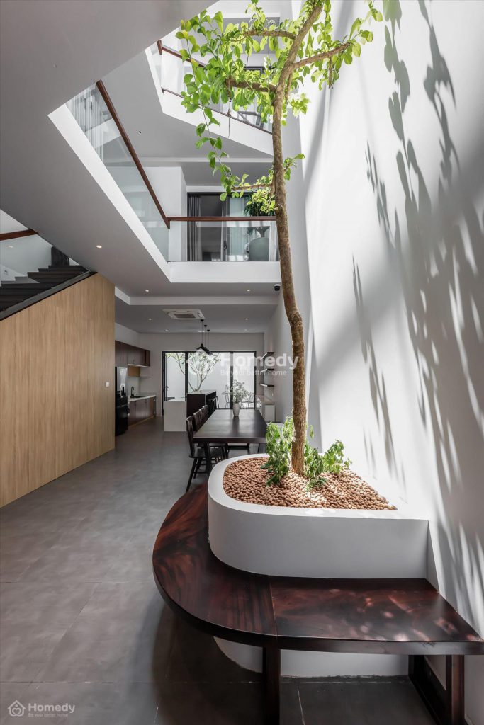 Có nên đặt giếng trời giữa nhà? Giải mã phong thủy Trung Cung đắc địa