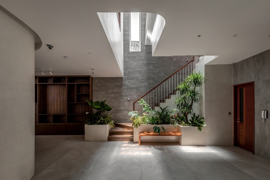 Phong thủy giếng trời nhà ống: "Lá phổi" hút Tài Lộc và Sinh Khí