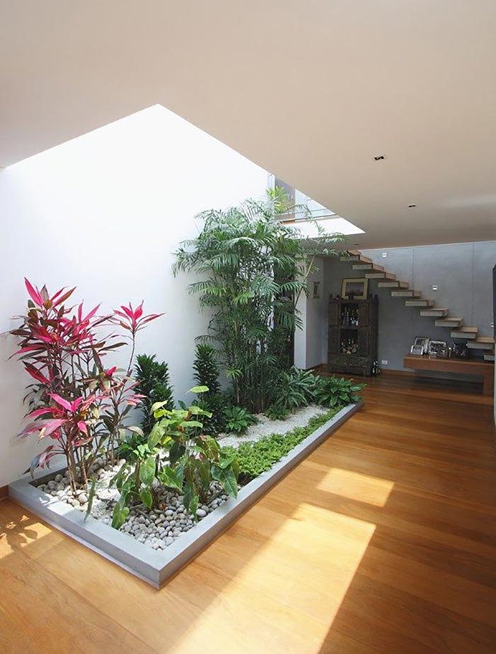 Tiểu cảnh giếng trời nhà ống: Thiết kế cân bằng Ngũ Hành, hút Tài Lộc